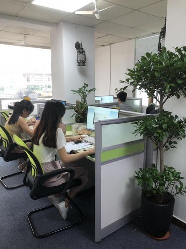 如何做好信息技術(shù)咨詢服務？踐行七點核心，真正賦能客戶